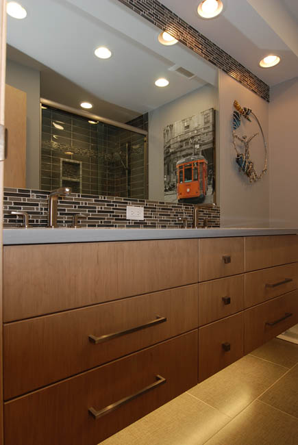 Chicago North Shore Bathroom Design | Remodeling Projects ...