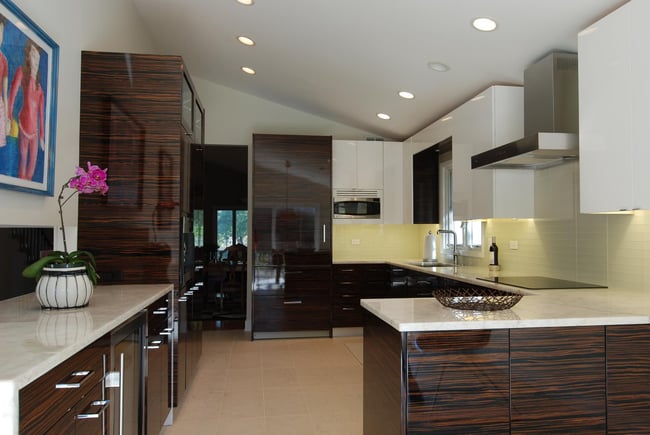 Contemporary Kitchen Remodel